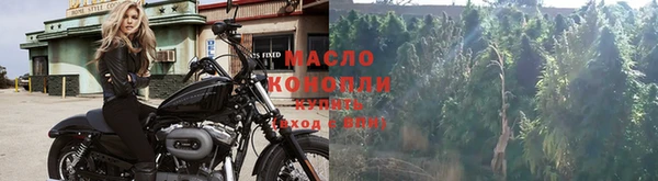 прущие грибы Баксан