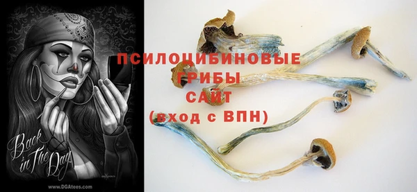 прущие грибы Баксан