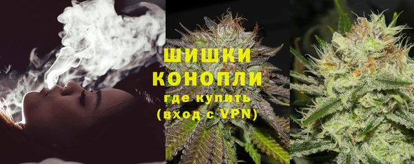 прущие грибы Баксан
