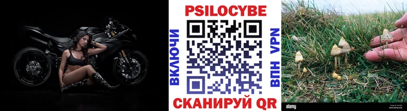 Галлюциногенные грибы мицелий Энем