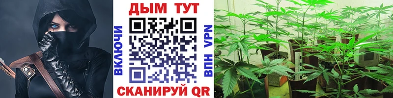 Бошки Шишки White Widow  OMG ссылка  мориарти наркотические препараты  Энем 